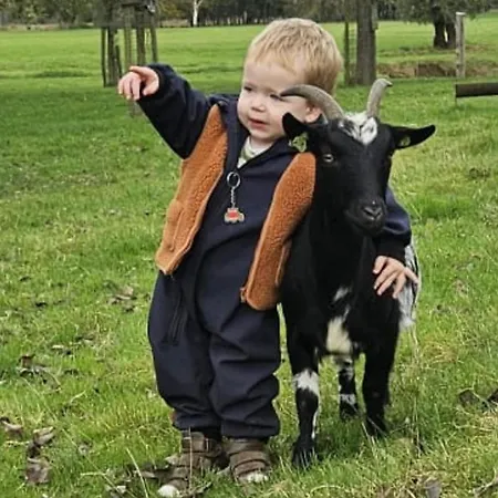 De Schapenweide Wijlre