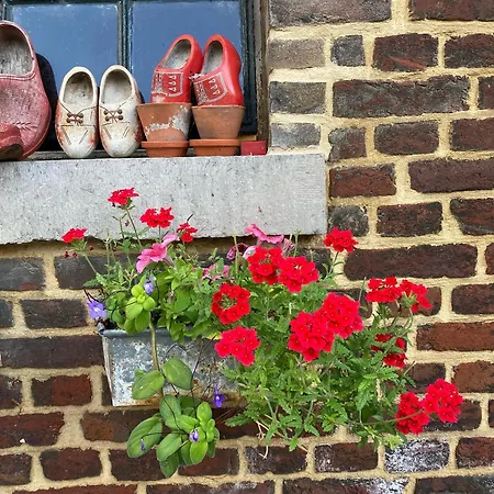 De Schapenweide Holiday home Wijlre