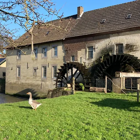 De Schapenweide * Wijlre