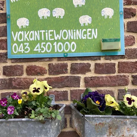 Holiday home De Schapenweide *