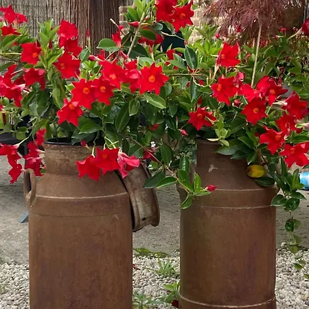 De Schapenweide Wijlre